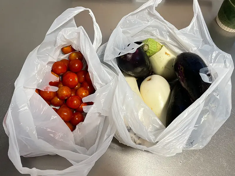 農家さんからいただいた野菜