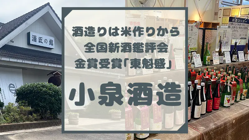 富津市 小泉酒造で一人晩酌酒を選ぶ