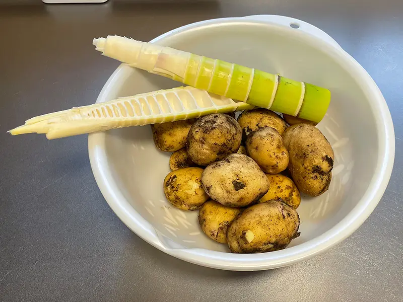 破竹とジャガイモ